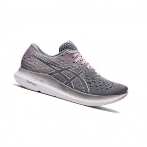 Chaussure Running Asics EVORIDE 2 Femme Grise | RDOJ65803