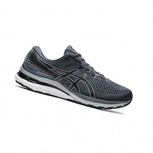 Chaussure Running Asics GEL-KAYANO 28 Extra Larges Homme Grise | GVDO38024