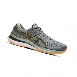 Chaussure Running Asics GEL-KAYANO 28 Homme Grise | TAKH42657