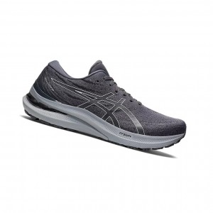 Chaussure Running Asics GEL-KAYANO 29 (4E) Homme Blanche | NTCW04857