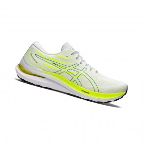 Chaussure Running Asics GEL-KAYANO 29 Homme Blanche | BJPY06574