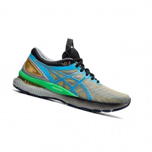 Chaussure Running Asics GEL-NIMBUS 22 Femme Grise | IVTL25470