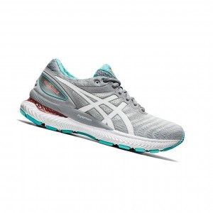 Chaussure Running Asics GEL-NIMBUS 22 Larges Femme Grise Clair | URWZ54073