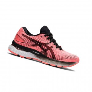 Chaussure Running Asics GEL-SAIUN Femme Corail | UZSB46052