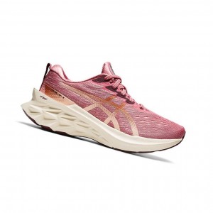 Chaussure Running Asics NOVABLAST 2 Femme Rose | MJGW08276