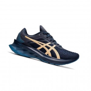 Chaussure Running Asics NOVABLAST Femme Bleu Marine | UXQS96153