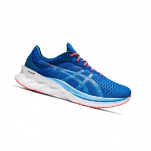 Chaussure Running Asics NOVABLAST Homme Bleu | HEWV51869