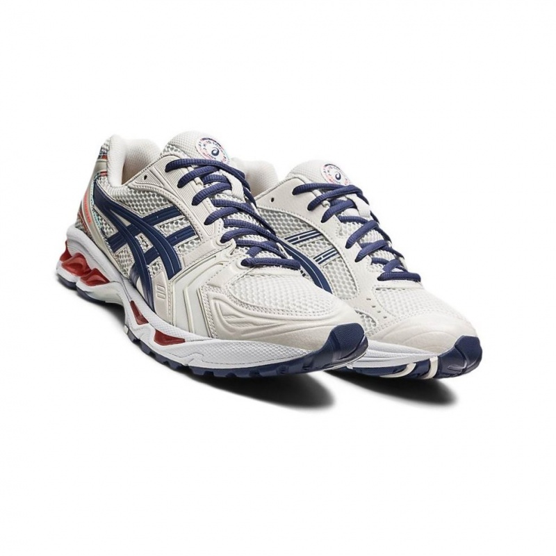 Basket Asics CELEBRATION OF SPORT Homme Grise | OSPE58247