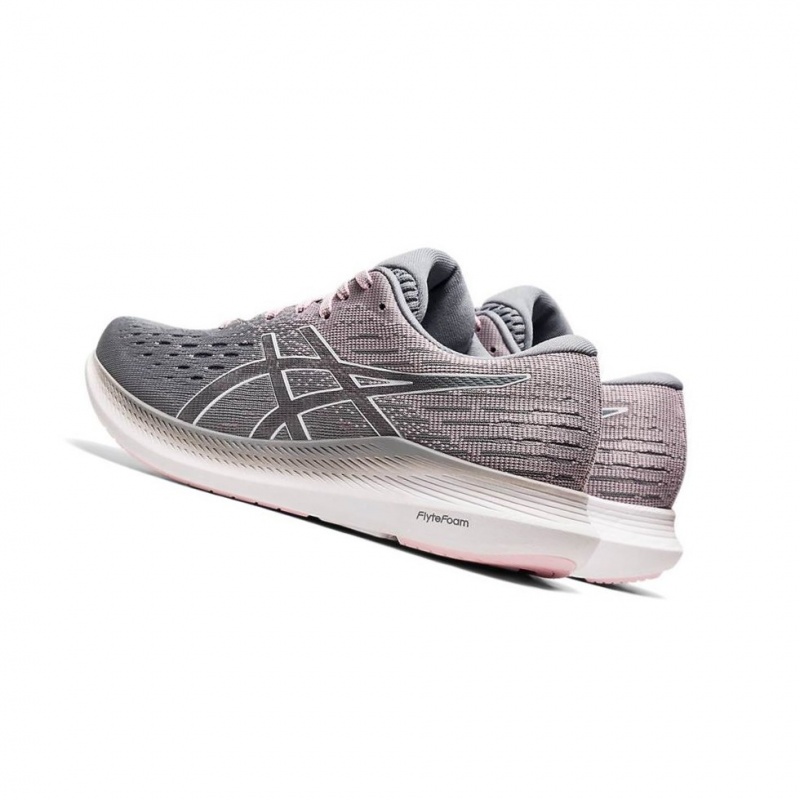 Chaussure Running Asics EVORIDE 2 Femme Grise | RDOJ65803