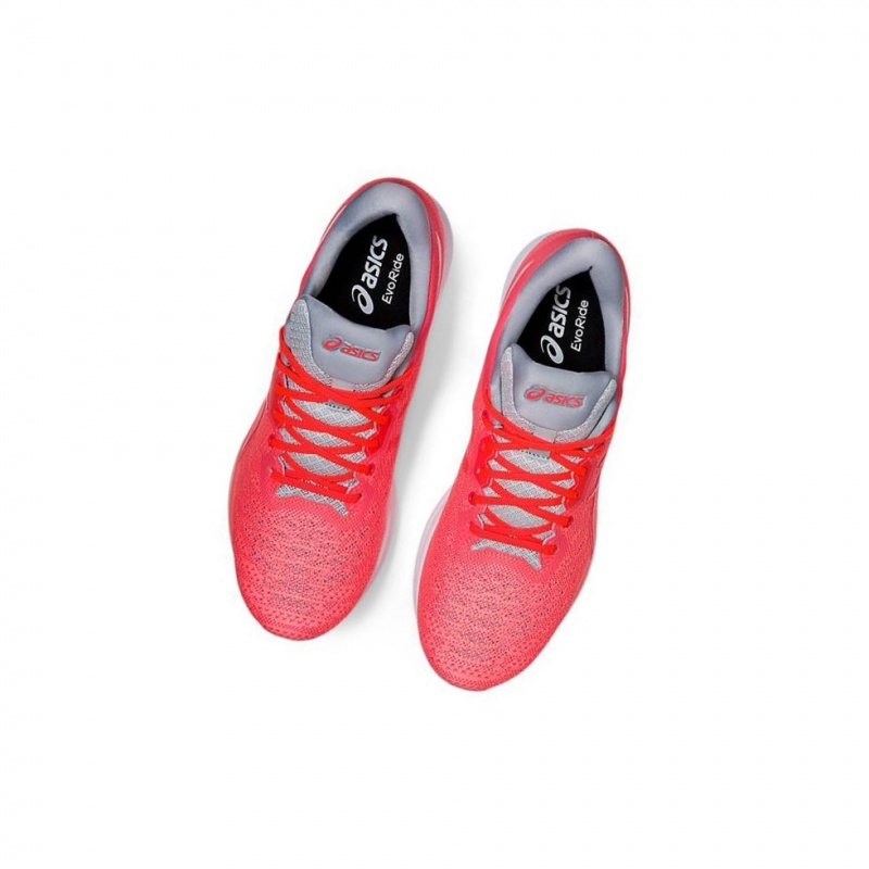 Chaussure Running Asics EVORIDE Femme Corail | WFQN47581