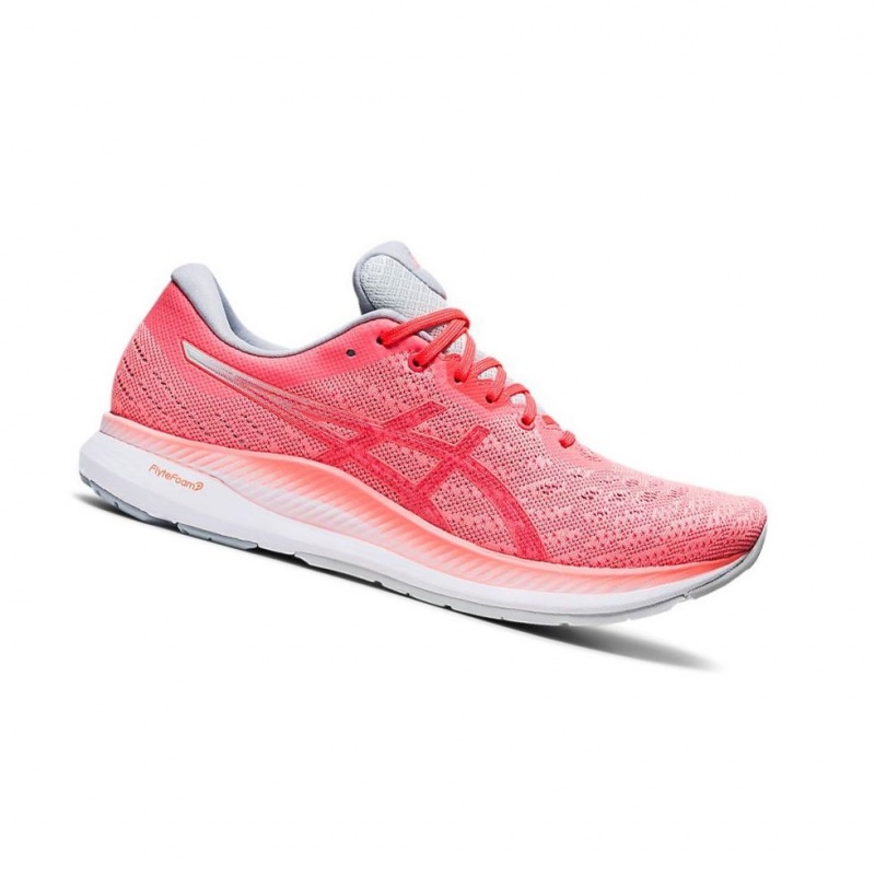 Chaussure Running Asics EVORIDE Femme Corail | WFQN47581