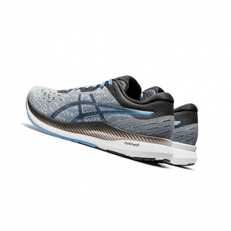 Chaussure Running Asics EVORIDE Femme Grise | FBVA19062