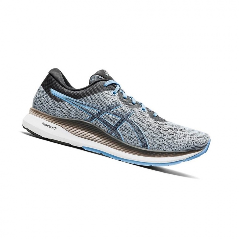 Chaussure Running Asics EVORIDE Femme Grise | FBVA19062