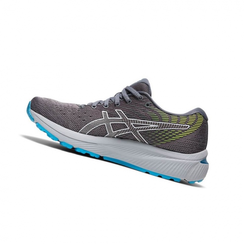 Chaussure Running Asics GEL-CUMULUS 22 Femme Grise | IQUM26140