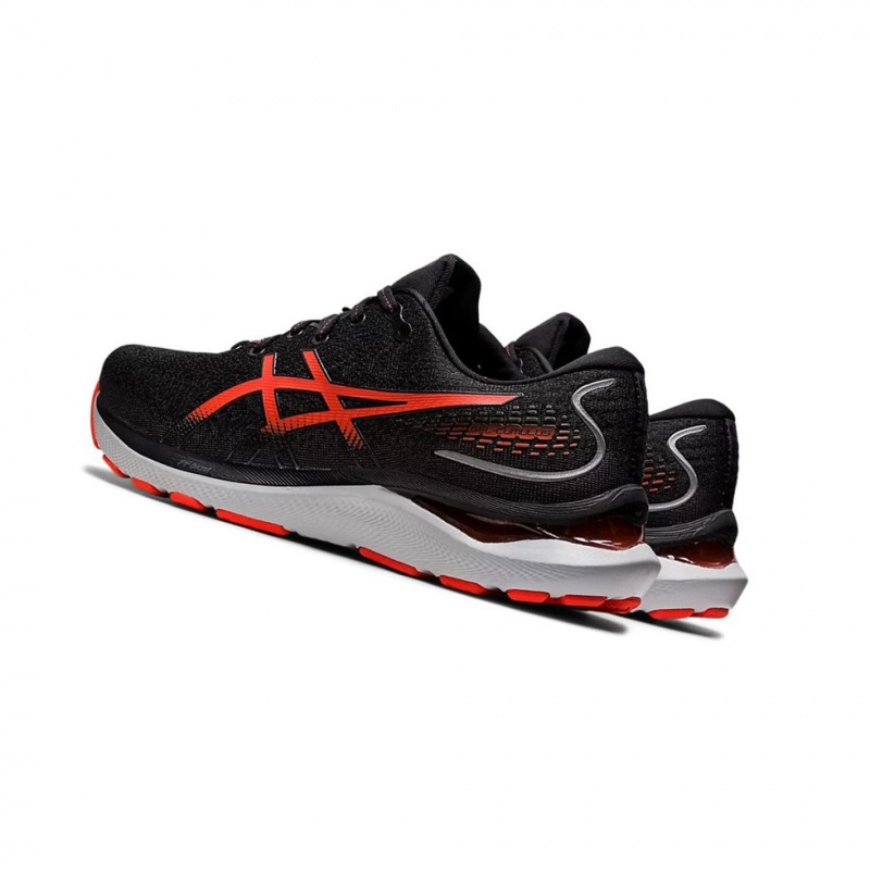 Chaussure Running Asics GEL-CUMULUS 24 Homme Noir | LTAS34862