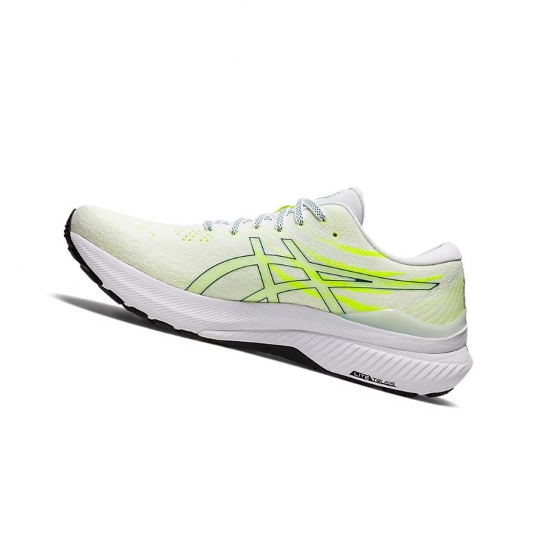 Chaussure Running Asics GEL-KAYANO 29 Homme Blanche | BJPY06574