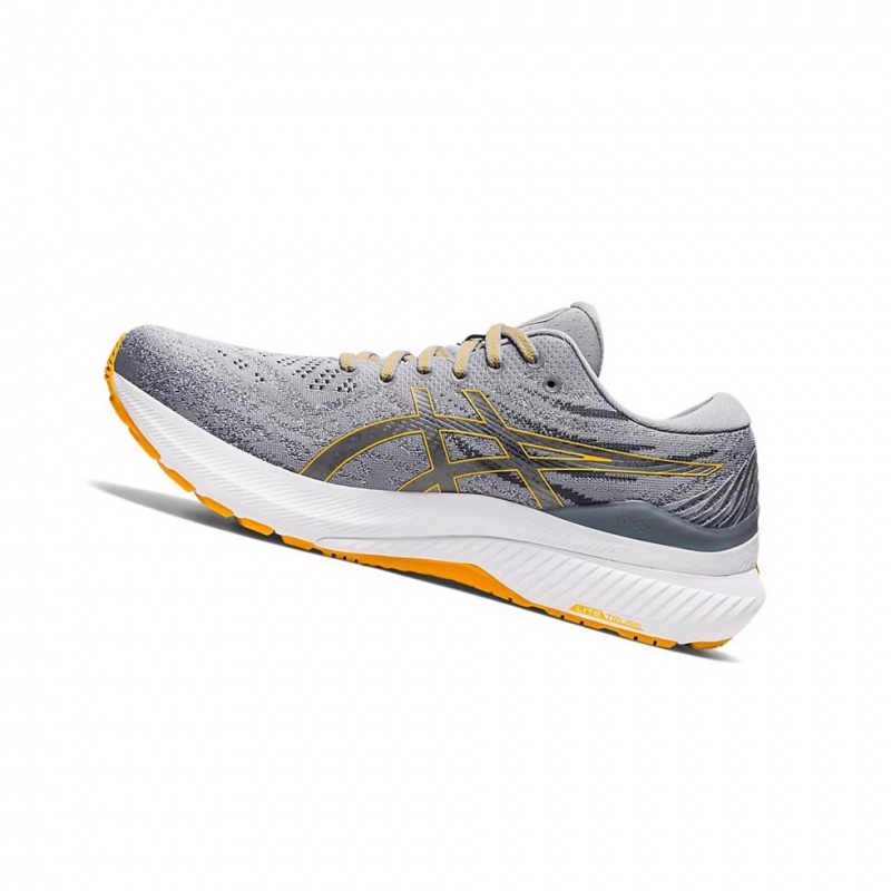 Chaussure Running Asics GEL-KAYANO 29 Homme Sheet Rock / Amber | XBSW74809