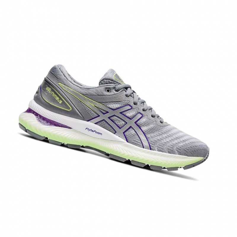 Chaussure Running Asics GEL-NIMBUS 22 Femme Grise | TMHO76894