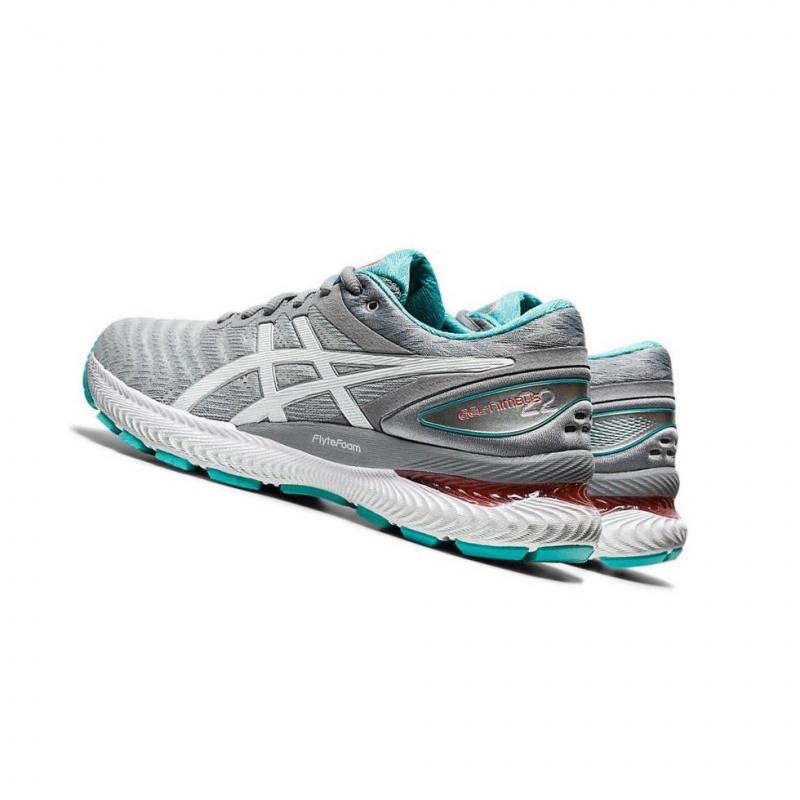 Chaussure Running Asics GEL-NIMBUS 22 Femme Grise Clair | NJYC94031