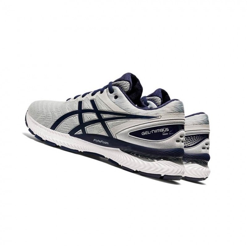 Chaussure Running Asics GEL-NIMBUS 22 Homme Grise | DBRV94231