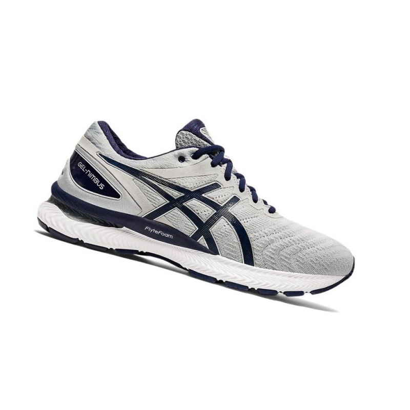 Chaussure Running Asics GEL-NIMBUS 22 Homme Grise | DBRV94231