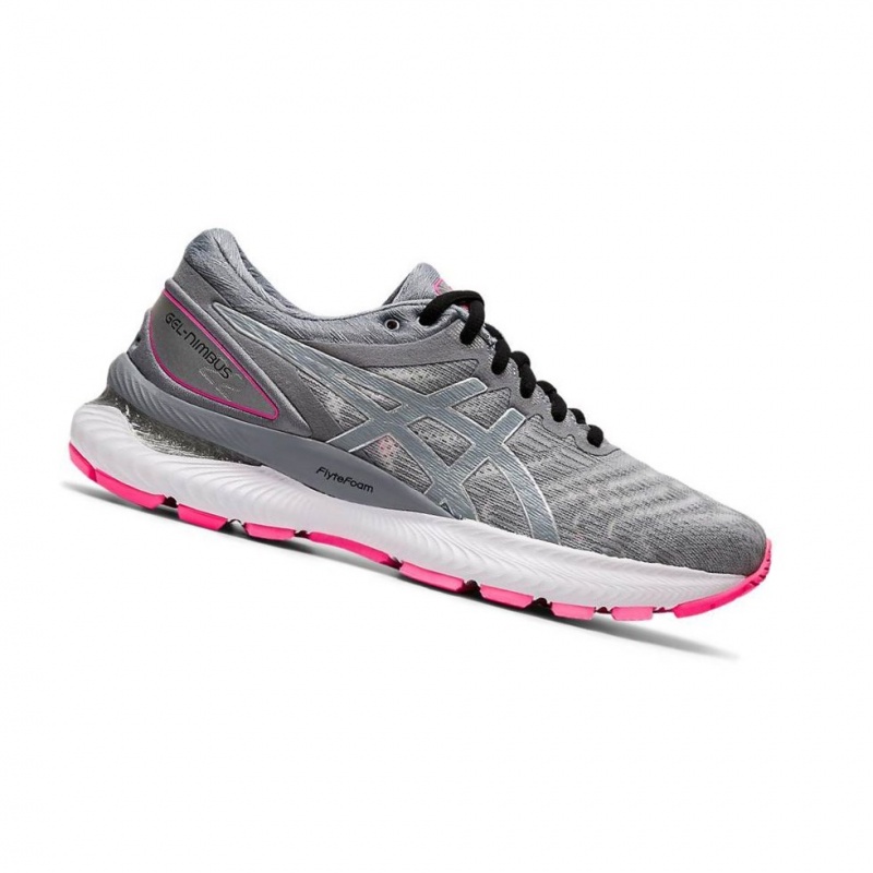 Chaussure Running Asics GEL-NIMBUS 22 LITE-SHOW Femme Grise | SXUT20859