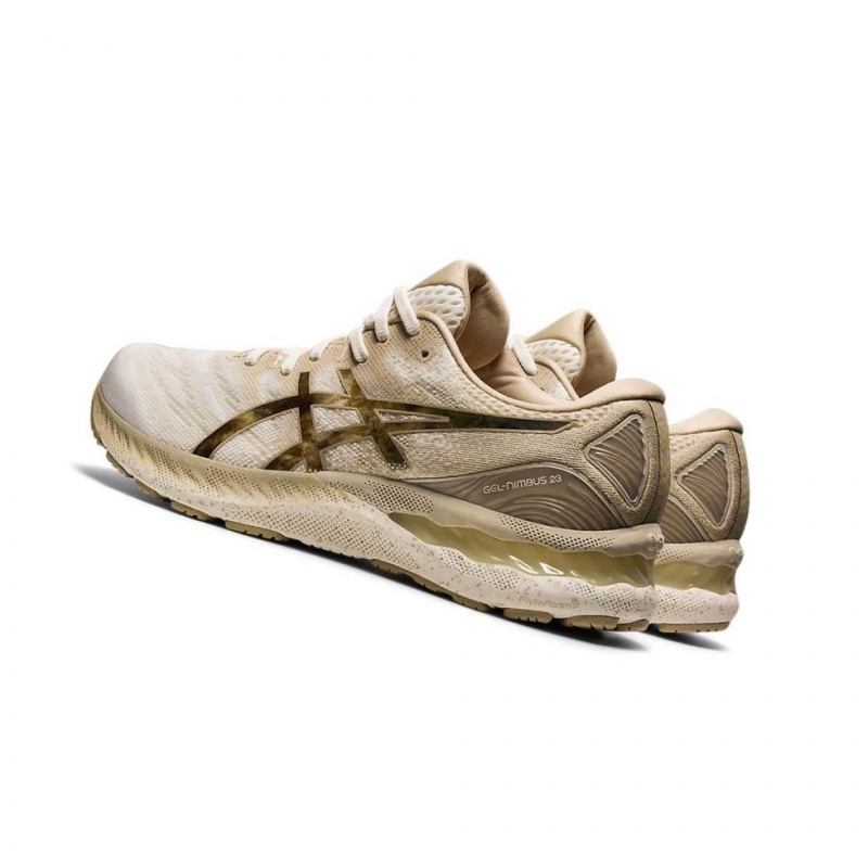 Chaussure Running Asics GEL-NIMBUS 23 EARTH DAY Homme Blanche | AXCB69342