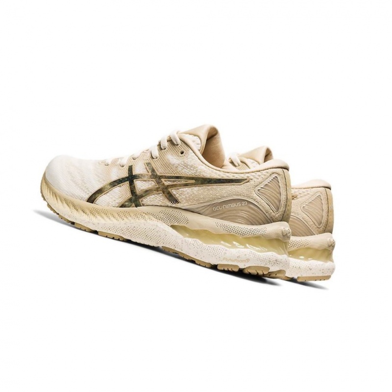 Chaussure Running Asics GEL-NIMBUS 23 EARTH DAY Femme Blanche | DFEZ59861