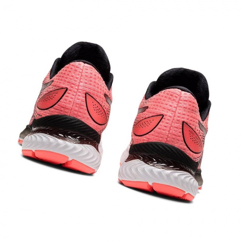 Chaussure Running Asics GEL-SAIUN Femme Corail | UZSB46052