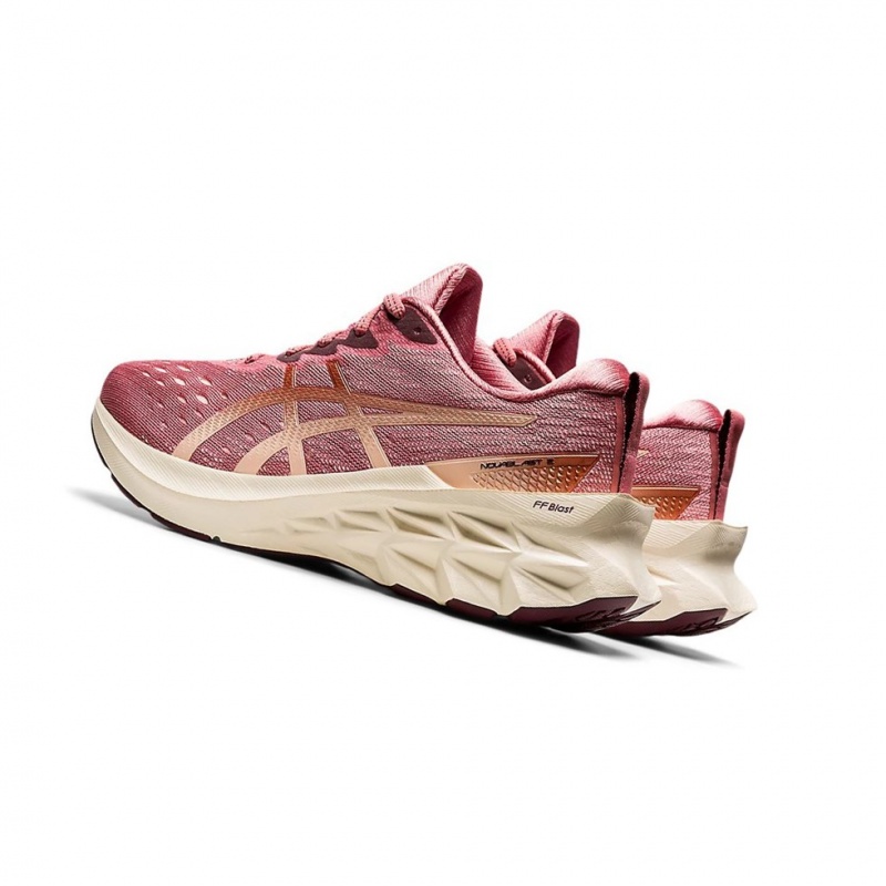 Chaussure Running Asics NOVABLAST 2 Femme Rose | CGIF81527