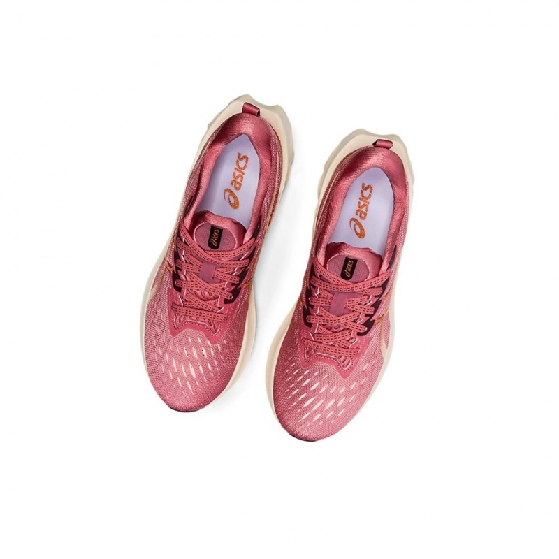 Chaussure Running Asics NOVABLAST 2 Femme Rose | CGIF81527