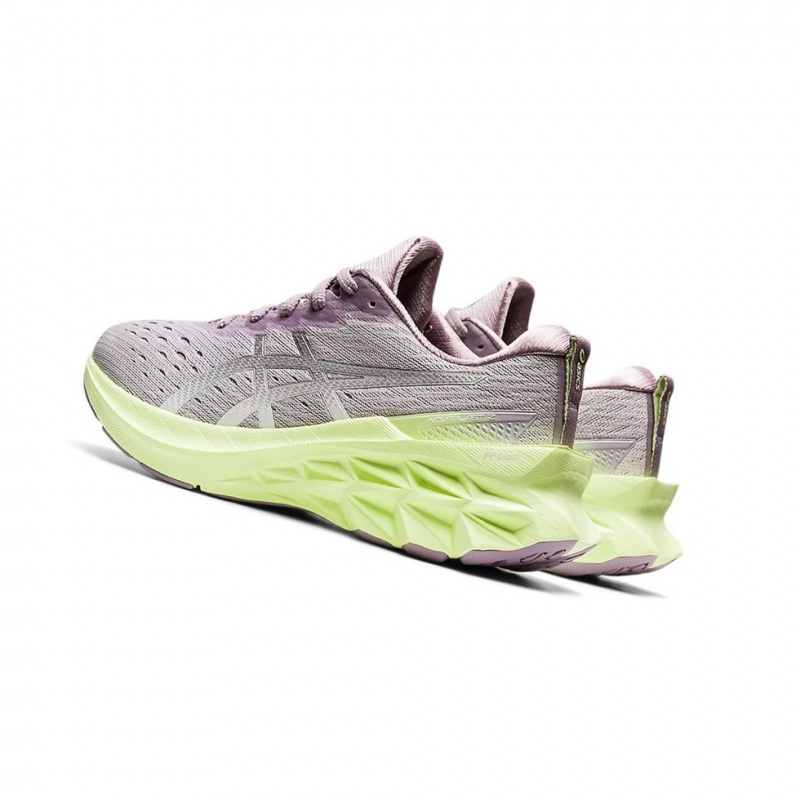 Chaussure Running Asics NOVABLAST 2 Femme Argent | YPNK23401