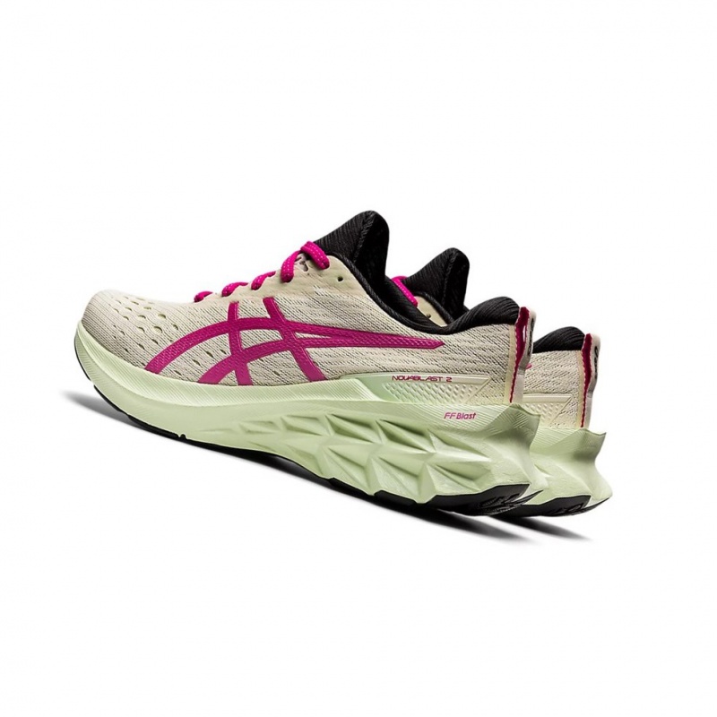 Chaussure Running Asics NOVABLAST 2 Femme Rose | BUFQ83702