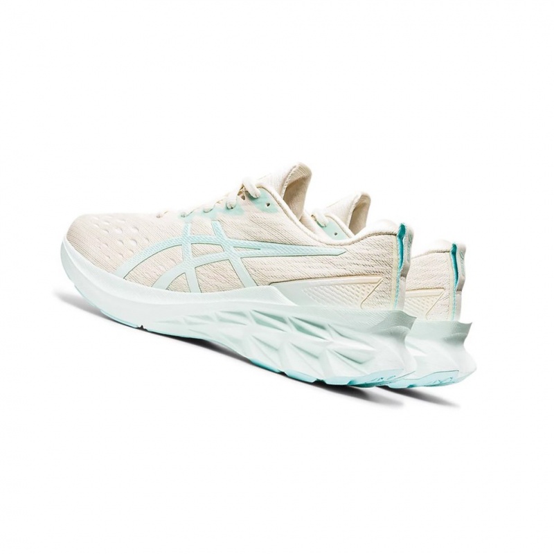 Chaussure Running Asics NOVABLAST 2 Femme Bleu | PLRX56471