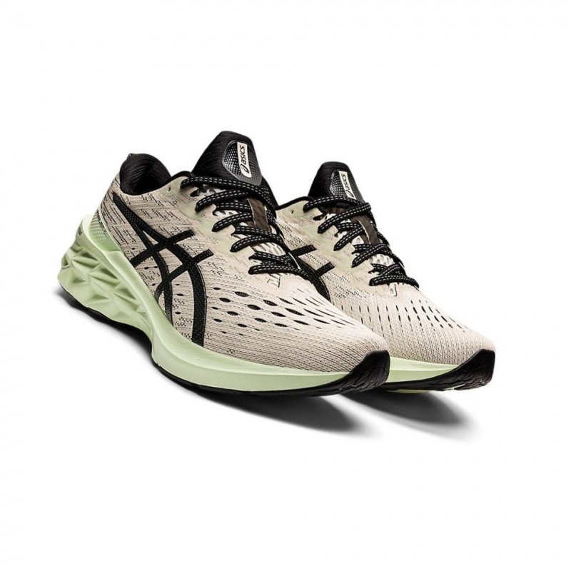 Chaussure Running Asics NOVABLAST 2 Homme Beige | ADOV47312