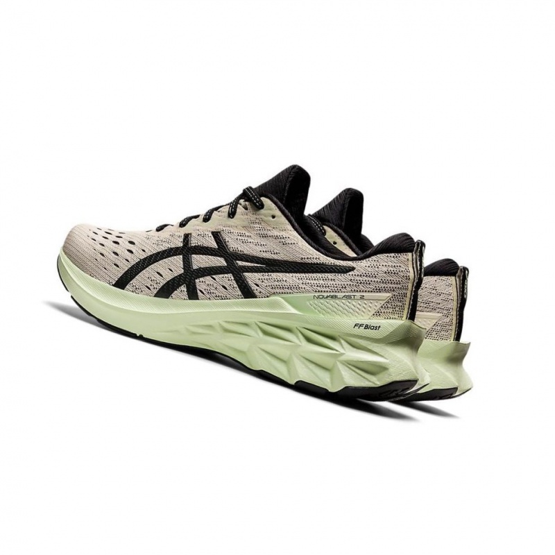 Chaussure Running Asics NOVABLAST 2 Homme Beige | ADOV47312