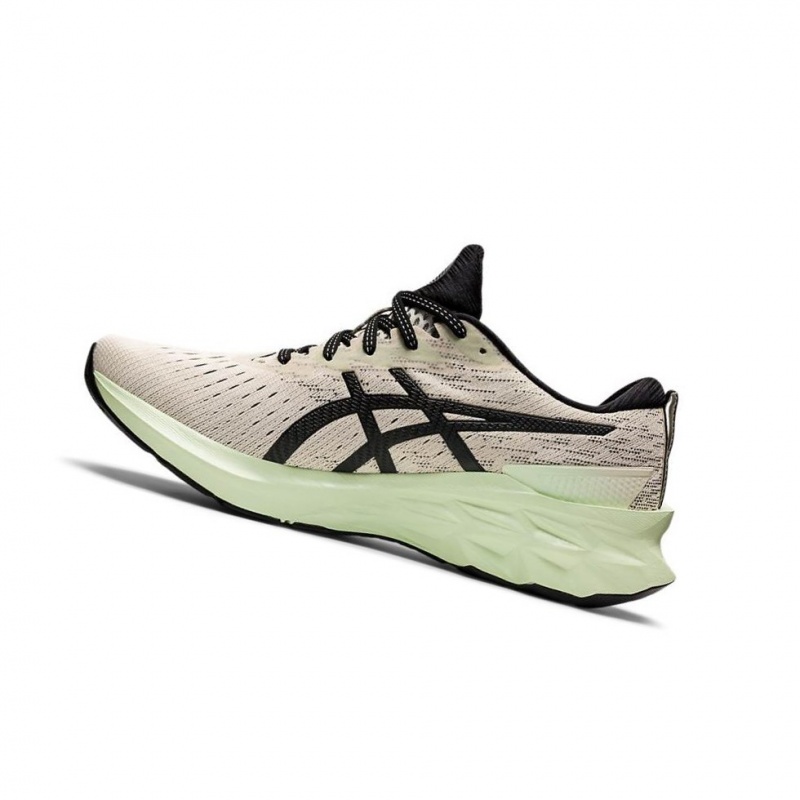 Chaussure Running Asics NOVABLAST 2 Homme Beige | ADOV47312