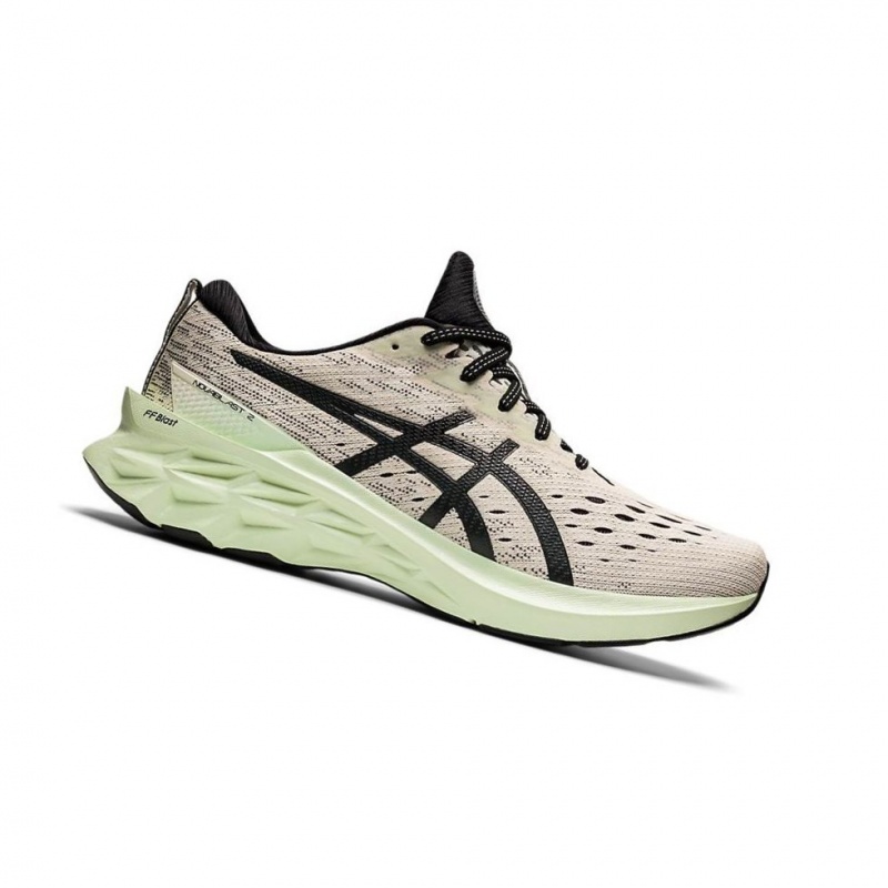 Chaussure Running Asics NOVABLAST 2 Homme Beige | ADOV47312