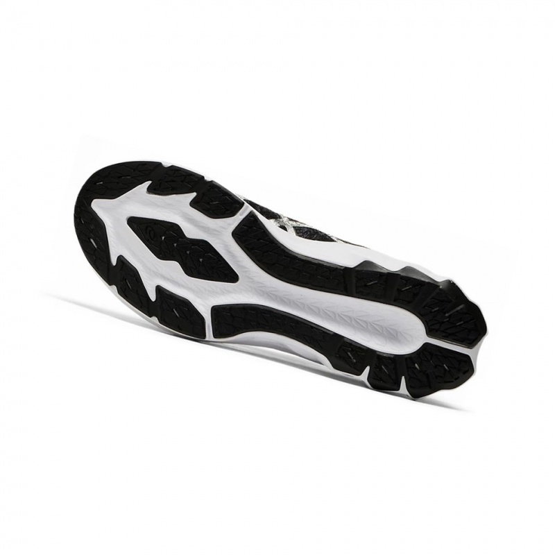 Chaussure Running Asics NOVABLAST 2 PLATINUM Homme Grise Argent | ABGO45726