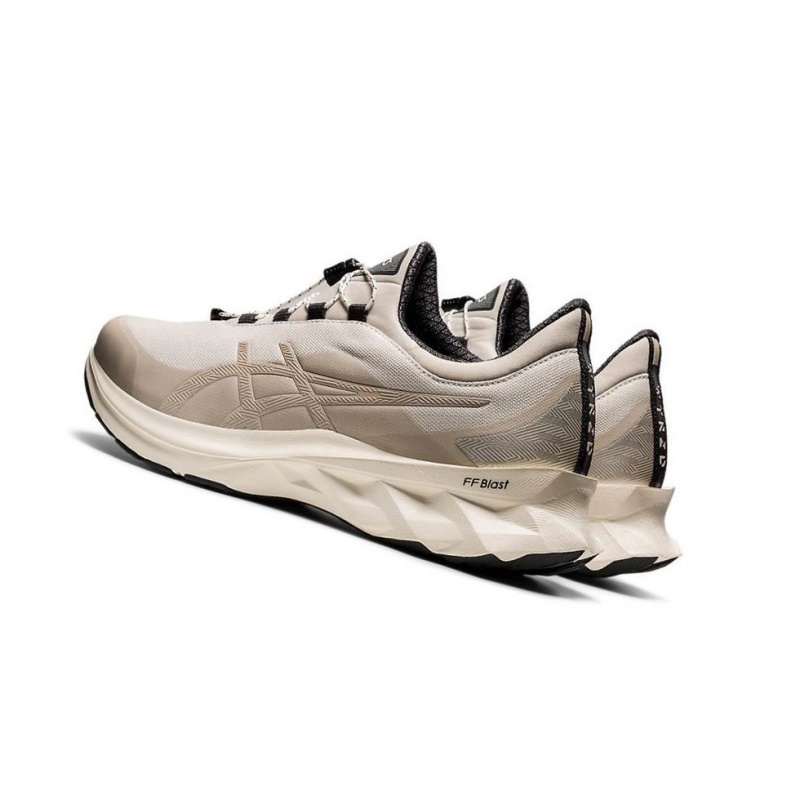 Chaussure Running Asics NOVABLAST Homme Beige | YNXT51284