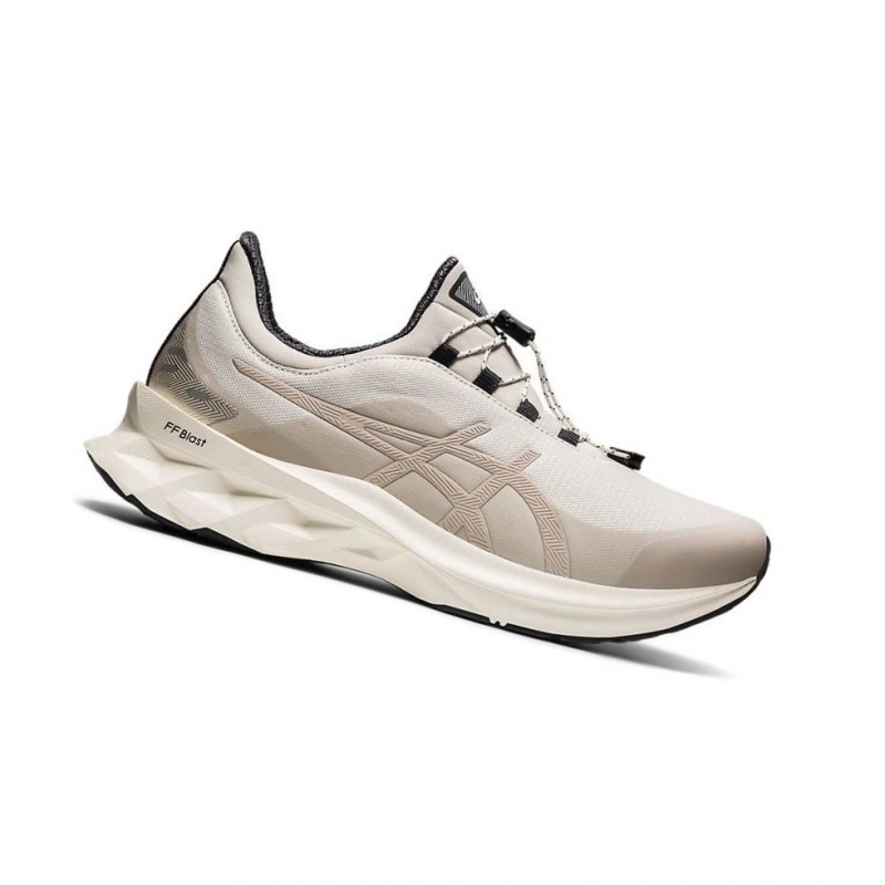 Chaussure Running Asics NOVABLAST Homme Beige | YNXT51284