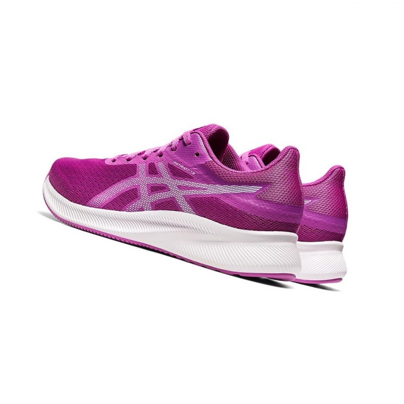 Chaussure Running Asics PATRIOT 13 Femme Orchid / Soft Sky | DCBQ09153