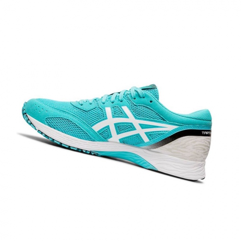 Chaussure Running Asics TARTHEREDGE Femme Menthe | PVZE86450