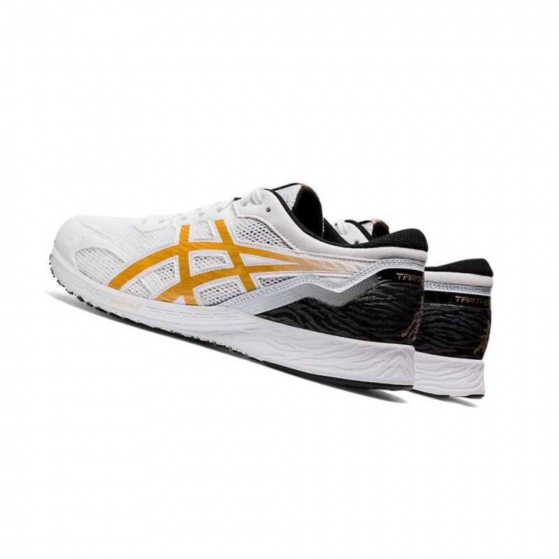 Chaussure Running Asics TARTHEREDGE Homme Blanche | GADH85061