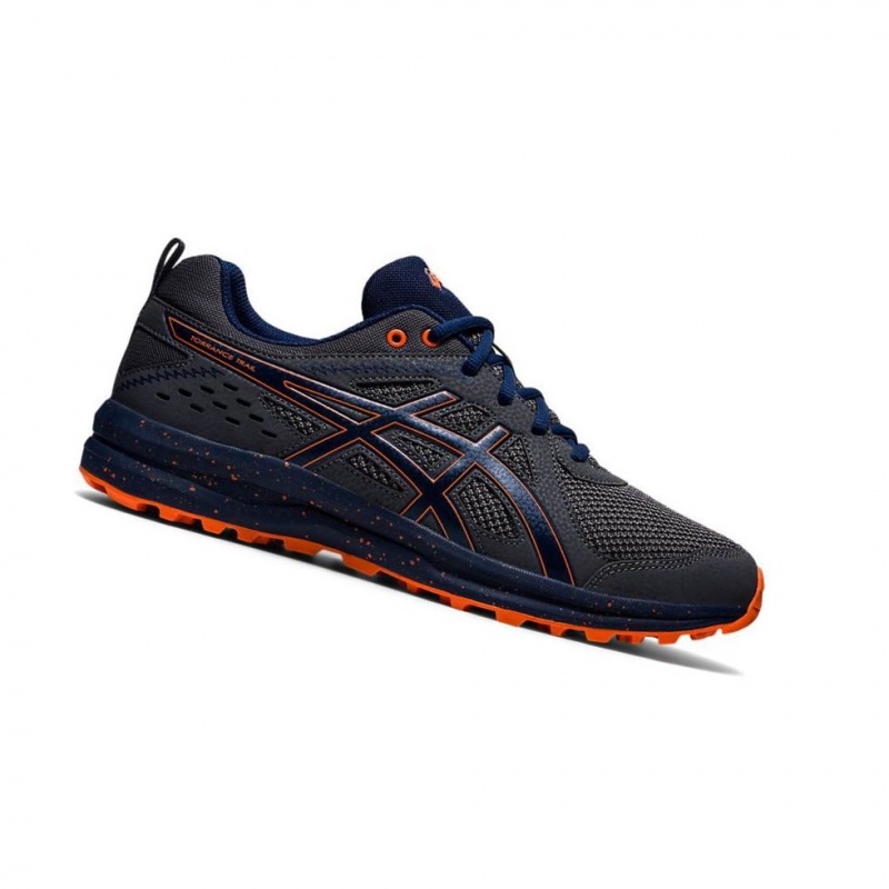 Chaussure Trail Running Asics GEL-TORRANCE TRAIL Homme Grise | PCAD01653