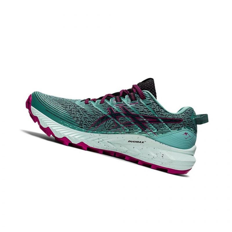 Chaussure Trail Running Asics GEL-Trabuco 10 Femme Noir | AXDZ21703