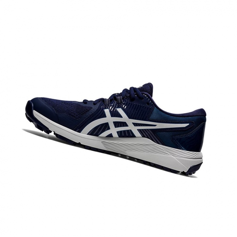 Chaussures De Golf Asics GEL-COURSE GLIDE Homme Grise | POJI45961