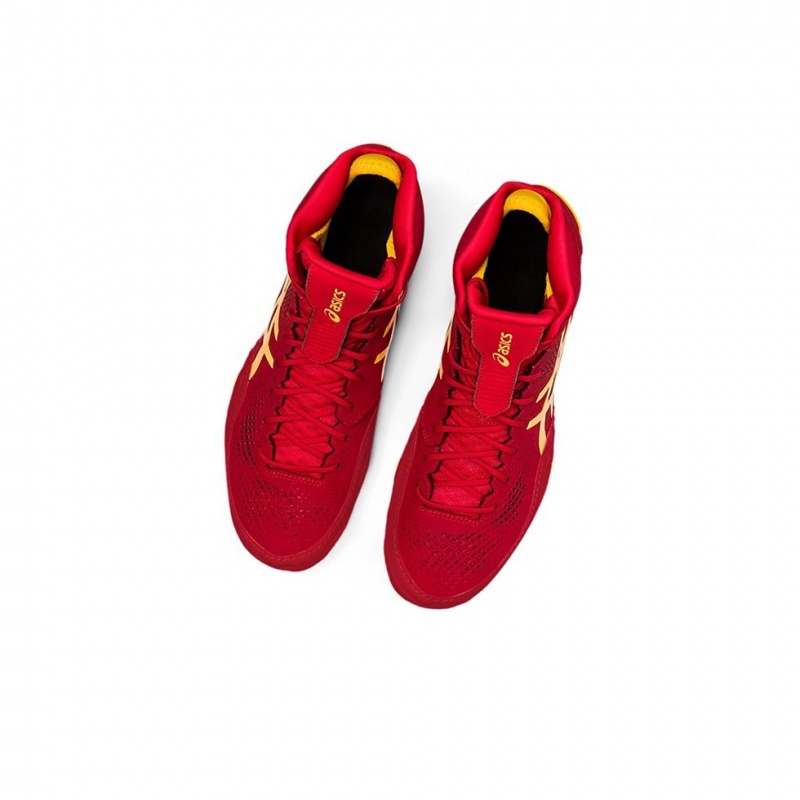 Chaussures De Lutte Asics DAN GABLE EVO 2 Homme Cranberry / Saffron | CAMH87962